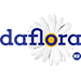 Darflora